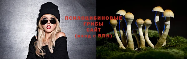 соль ск Богородицк