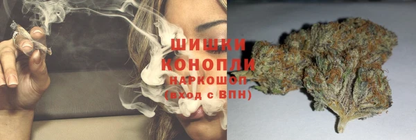 соль ск Богородицк