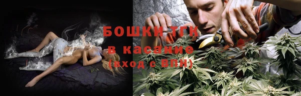 соль ск Богородицк